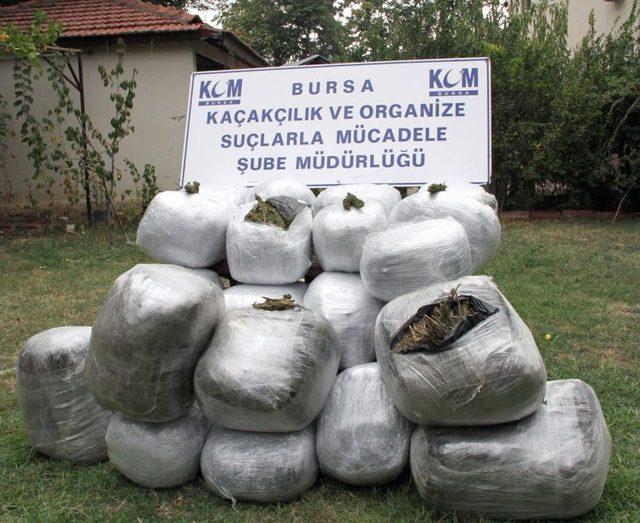 Bursa'da Iki Operasyonda 283 Kg. Esrar Ele Geçirdi