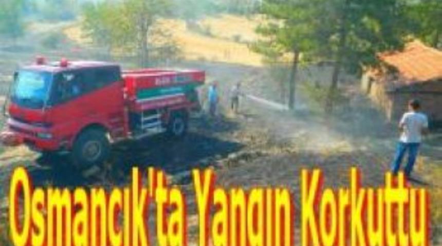 Osmancık'ta yangın korkuttu
