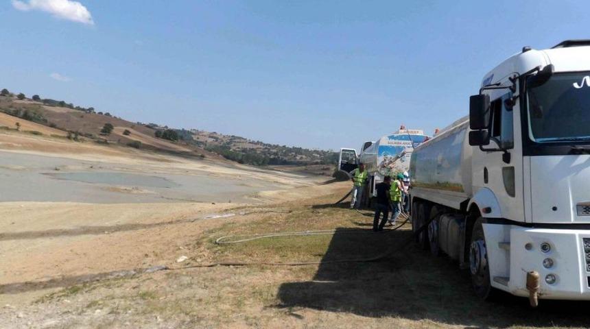 Kuruyan G&ouml;lette Balıkları Kurtarmak I&ccedil;in Seferler Oldular