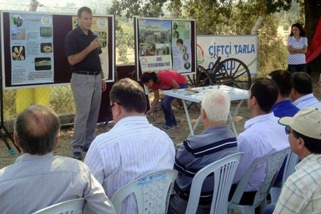 Söke Ağaçlı Köyünde Zeytin Çiftçi Tarla Okulu Açıldı