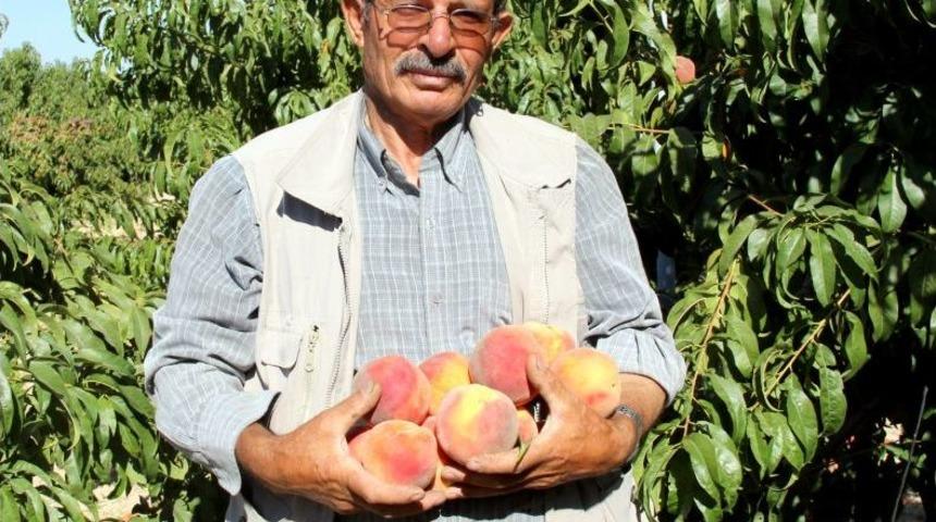 Sanayi Şehri Kayseri'de Develi Tarımsal Yatırımlarla Dikkati &Ccedil;ekiyor