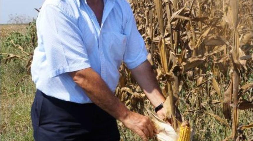 Bilici: TMO'nun Fiyat Politikasının Devamlı Olması Lazım