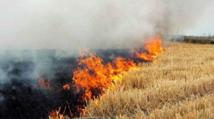 &Ccedil;ukurova'da Anız Yangınları Halk Sağlığını Tehdit Ediyor