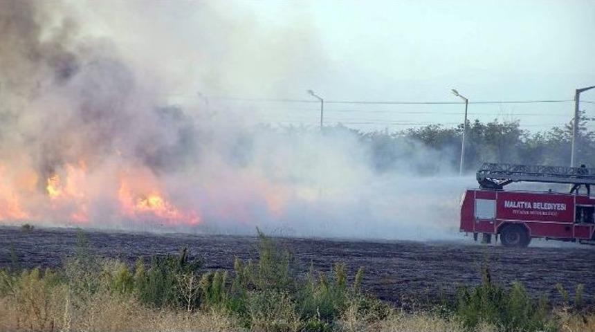 Kuru Ot Yangını Korkuttu
