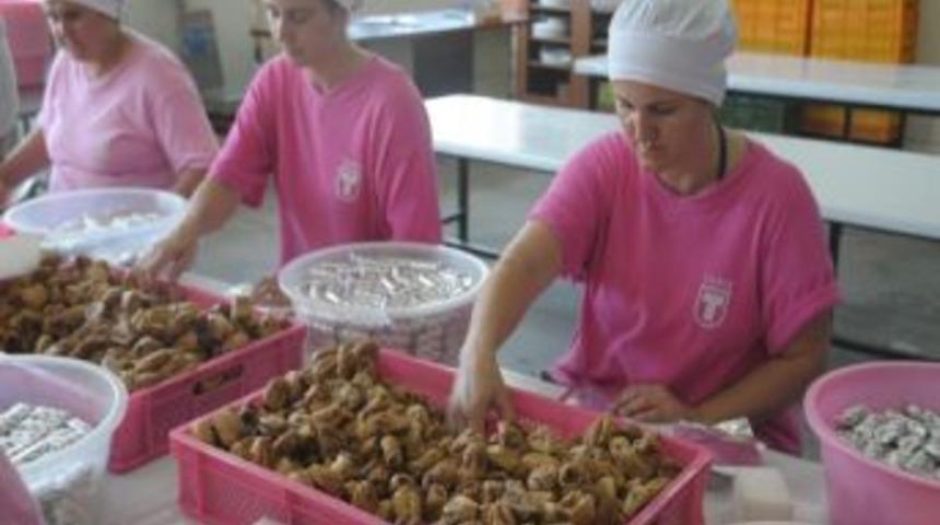 İncirciye Aflatoksin Uyarısı