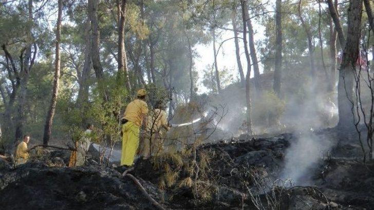 Fethiye'nin Ciğerleri Az Daha Yanıyordu G5