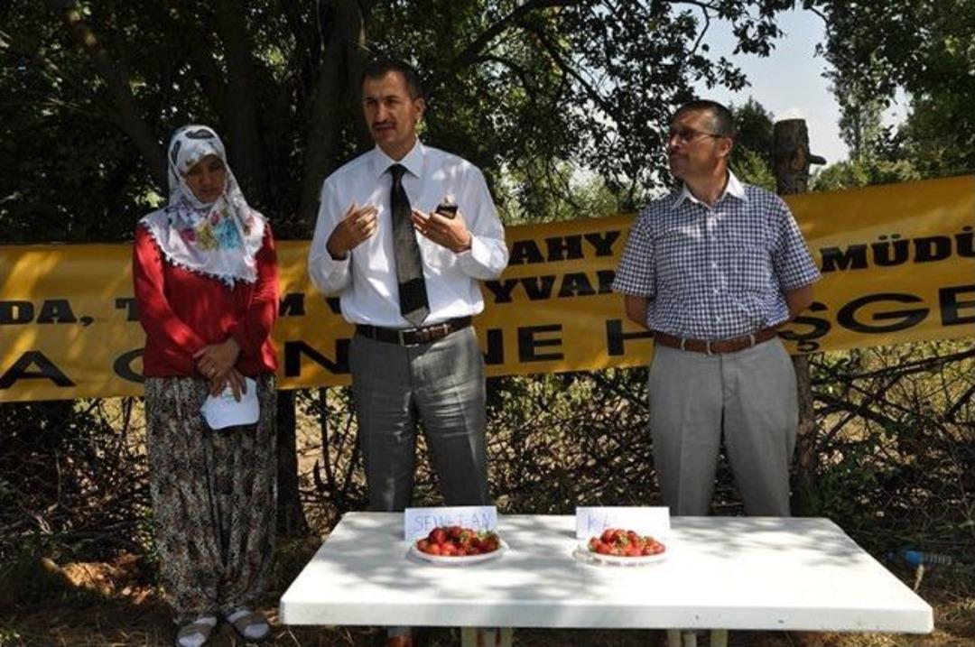 K&uuml;tahya'da '&ccedil;ilek G&uuml;n&uuml;'