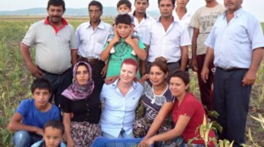 Keşan&rsquo;da 'Bamya Festivali'