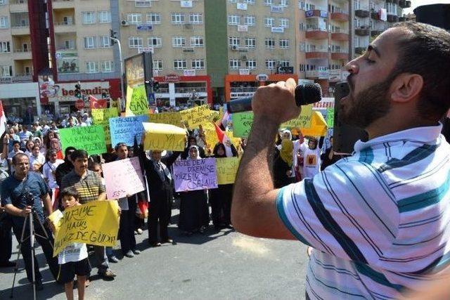 Niğde’de Mısır Ve Suriye’ye Destek Mitingi