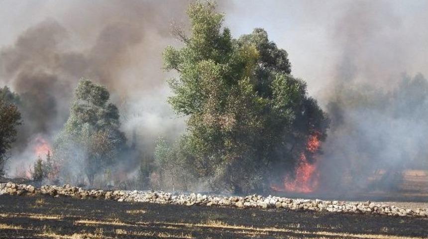Alaca&rsquo;da Korkutan Anız Yangını