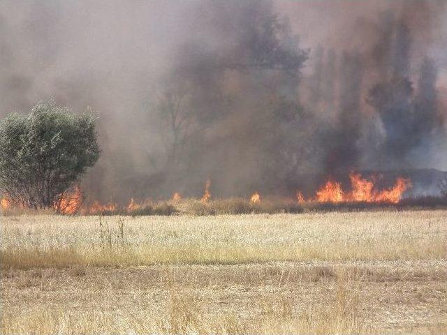 Alaca’da Korkutan Anız Yangını