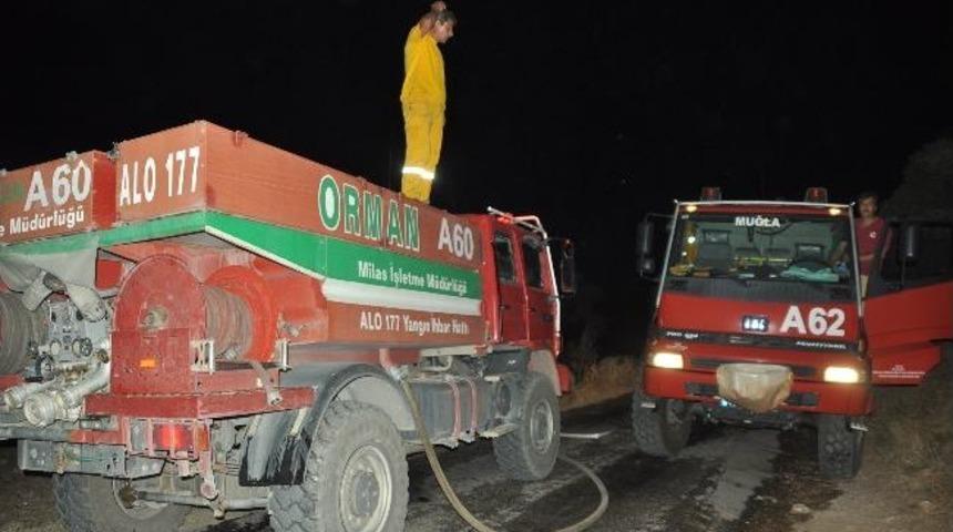 Makilik Alanda Yangın Korkuttu