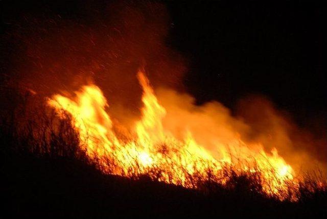 Makilik Alanda Yangın Korkuttu 1