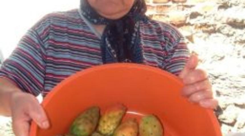 Dikenli İncir Ekmek Kapısı Oldu