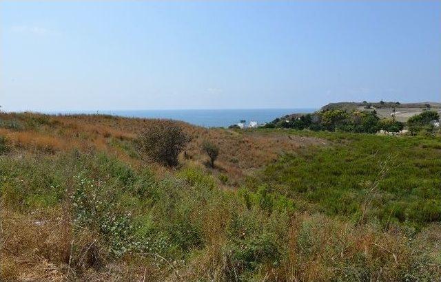 Magarsus Antik Kenti, G&uuml;n Y&uuml;z&uuml;ne &Ccedil;ıkarılıyor 3