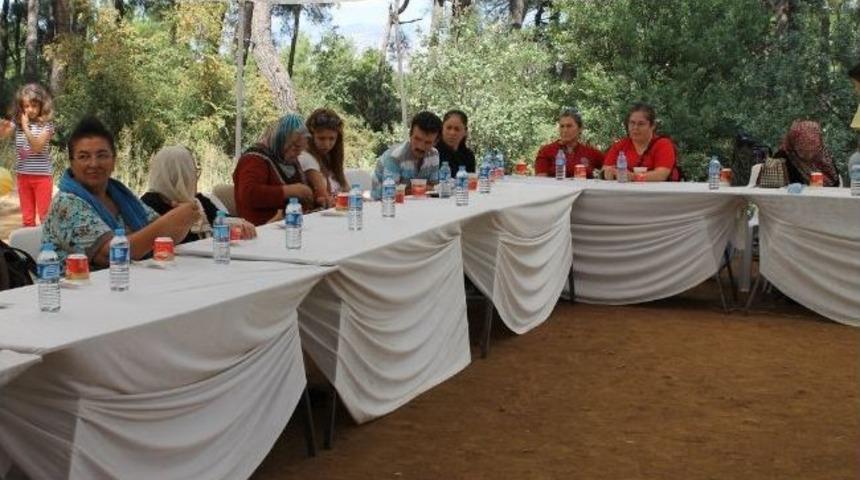 Nil&uuml;fer'de 'ikinci Bahar' Şenliği