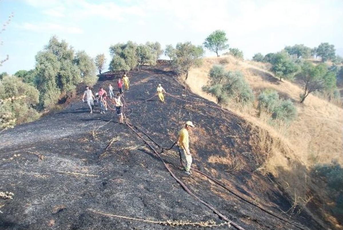 Aydın Dağları Yine Alevlere Teslim Oldu