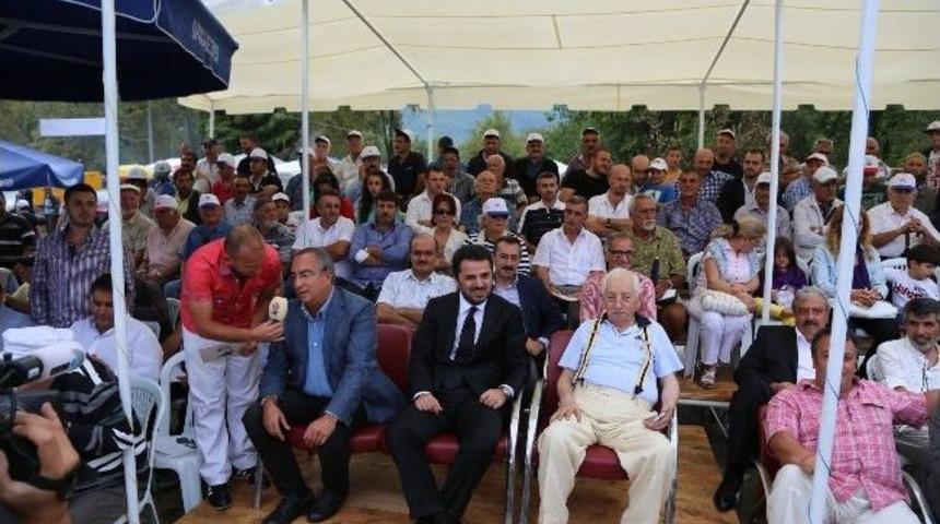 Sapanca&rsquo;da D&uuml;zenlenen &ldquo;yaz Şenlikleri Mahalli At Yarışları&rdquo; Sona Erdi