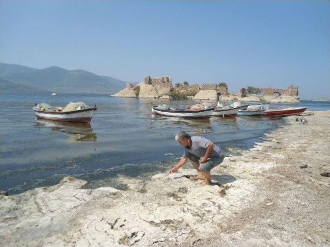 &ldquo;bafa Sahipsiz Değildir &ldquo; Kampanyası