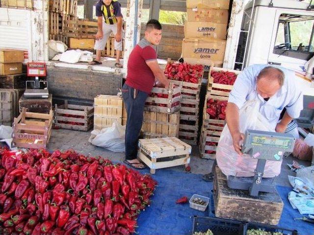 Kırmızı Biberin Fiyatı D&uuml;şt&uuml; 1