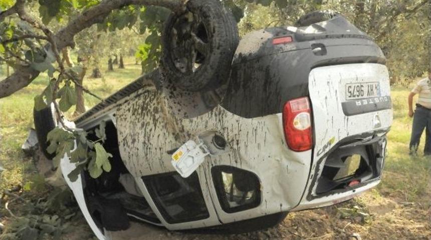 Zeytinliğe U&ccedil;tu