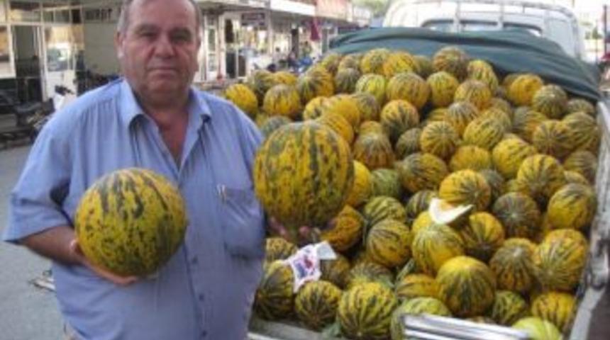 &ldquo;kavunun Hasını Tanırım&rdquo;