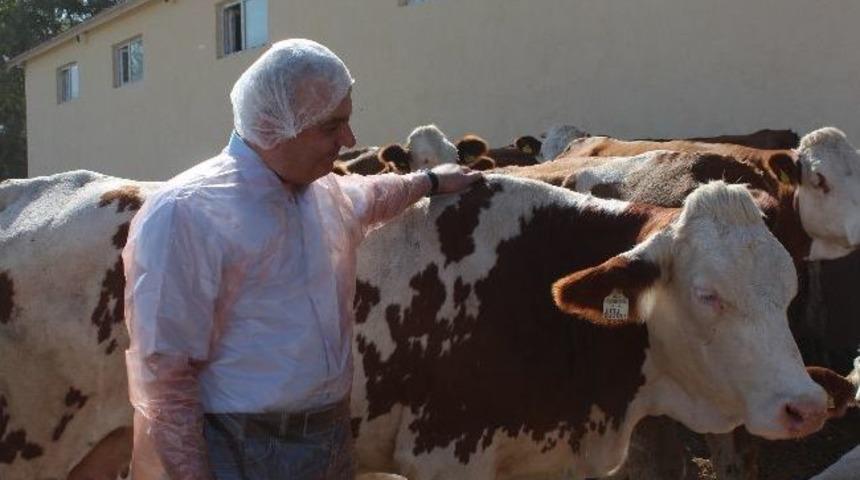 Daka Genel Sekreteri Demirci Gevaş&rsquo;ta