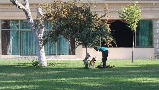 Eğitimli Köpeklerin Gösterisi Büyük Beğeni Kazandı