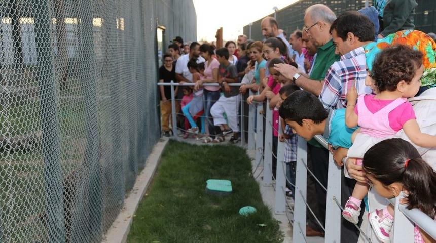 Harikalar Diyarı&rsquo;nı Bir G&uuml;nde 42 Bin Kişi Ziyaret Etti