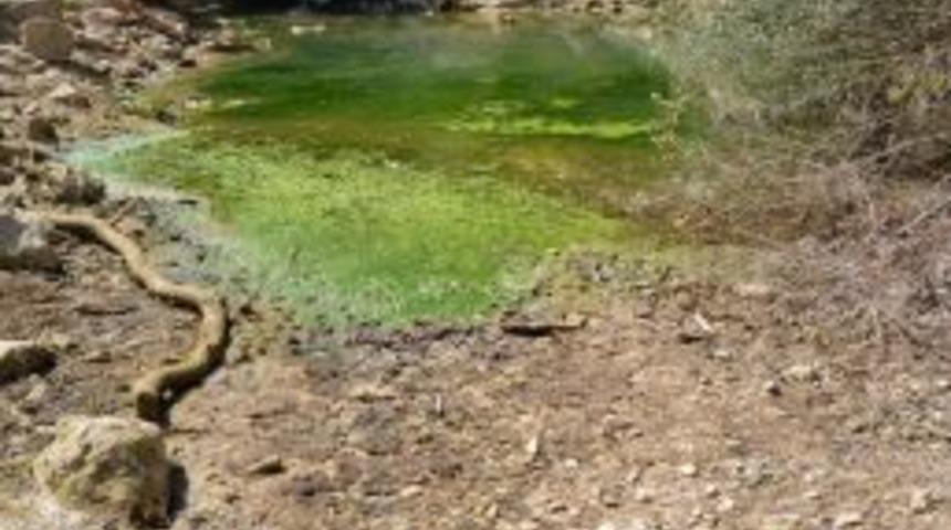 Su Borulara Alınınca Dere Yatağı Kurudu