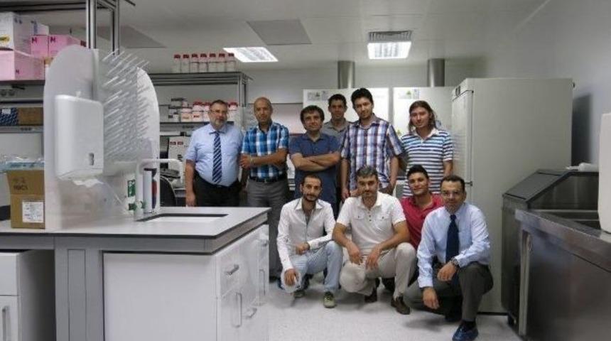 Tersine Beyin G&ouml;&ccedil;&uuml; Er&uuml;&rsquo;de Meyvelerini Vermeye Başladı