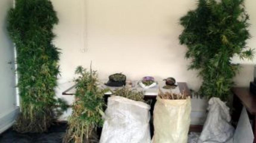 Amasya'da Uyuşturucu Operasyonu