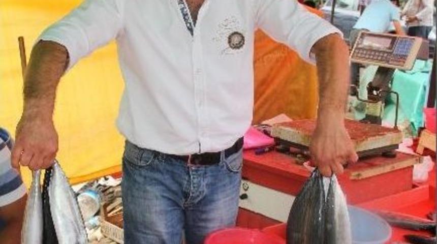 Sezonun İlk Balığı Tezgahlarda