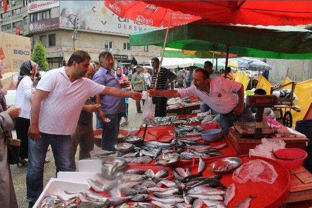 Sezonun İlk Balığı Tezgahlarda 1