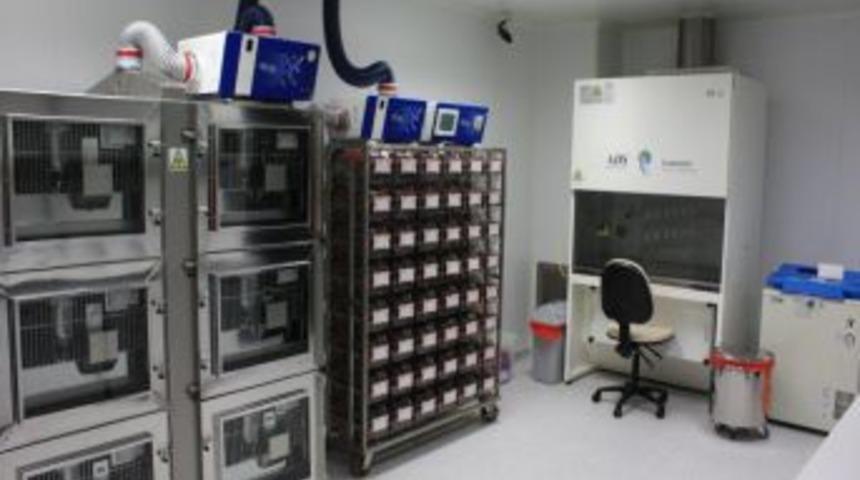 Erciyes &Uuml;niversitesi Biyog&uuml;venlik Laboratuvarı Akredite Oldu