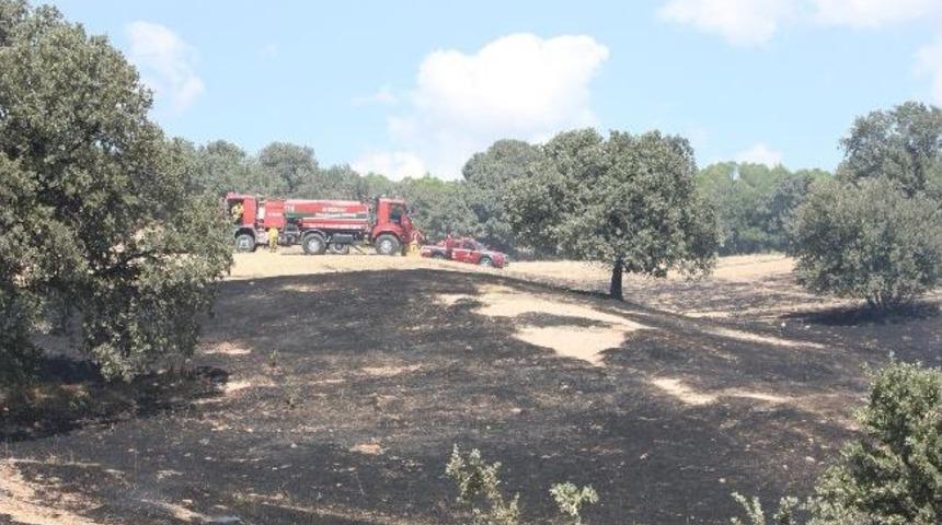 Ezine'de Orman Yangını