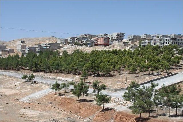 Şanlıurfa’nın En Büyük Parkı Osmanlı’ya Yapılıyor