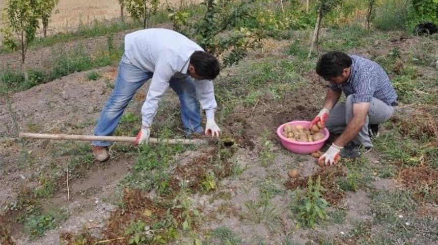 Sorgun&rsquo;da Vatandaşlar Kendi Sebze İhtiyacını Kendileri &Uuml;retiyor
