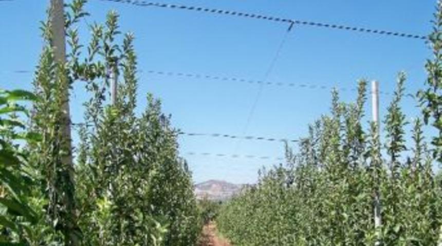 Kilis&rsquo;te Elma Bah&ccedil;esi Kuruldu