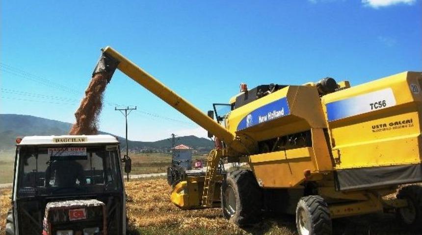 Bi&ccedil;erd&ouml;verle Buğday Hasadı Sona Erdi
