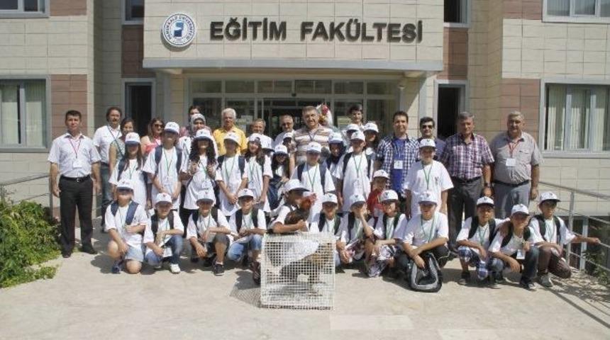 &Ccedil;evre Dedektifi Horoz İş Başında