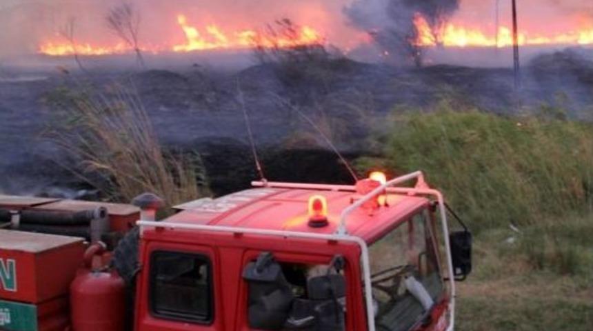 Edremit'te Sazlık Yangını