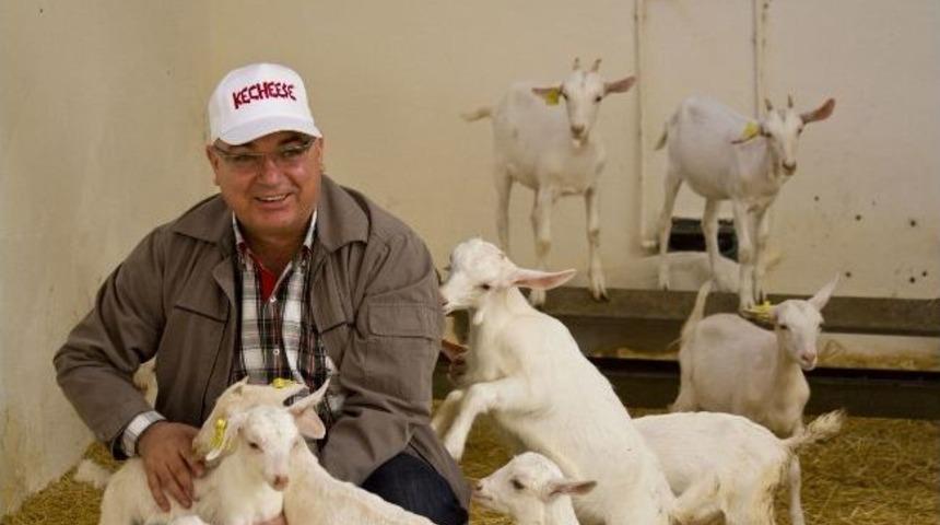 Koyun-ke&ccedil;ide Elinizi &Ccedil;abuk Tutun!