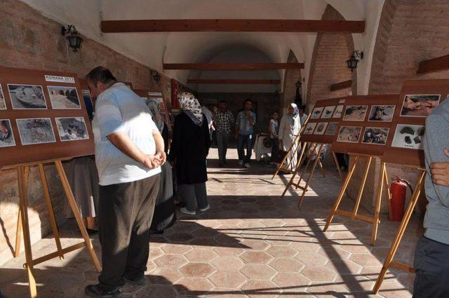 Komana Antik Kenti'ndeki Buluntuların Fotoğrafları Sergilendi