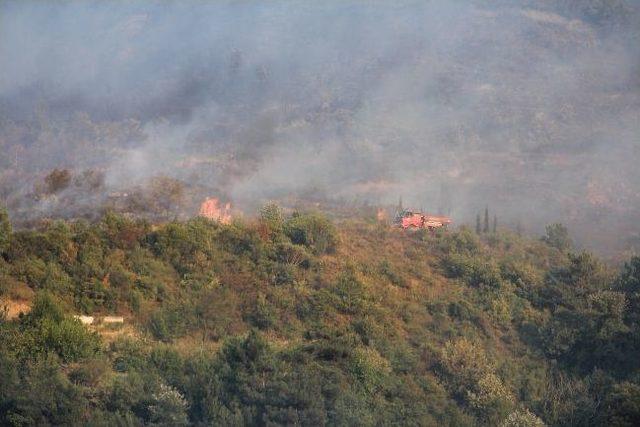 Sakarya&rsquo;da Orman Yangını 1