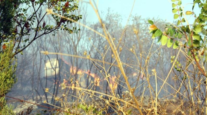 Geyve&rsquo;deki Yangını Devam Ediyor, Arı Kovanları Alevler I&ccedil;inde Kaldı