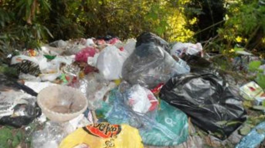 Alaplı &Ccedil;evre Koruma Derneği &ccedil;&ouml;p konusunda uyardı