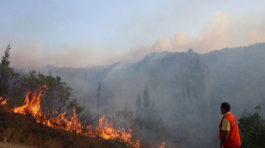 Sakarya&rsquo;daki Orman Yangını Kontrol Altına Alındı