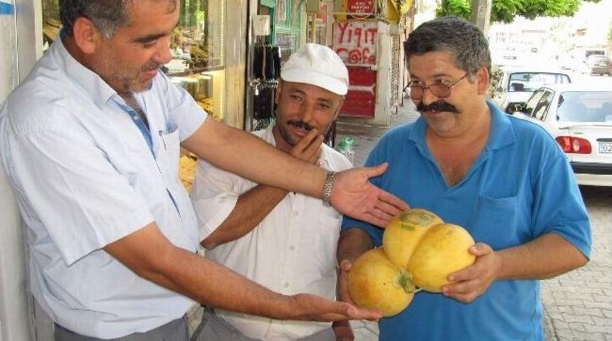 &Uuml;&ccedil;&uuml;z Kavun G&ouml;renleri Şaşırtıyor