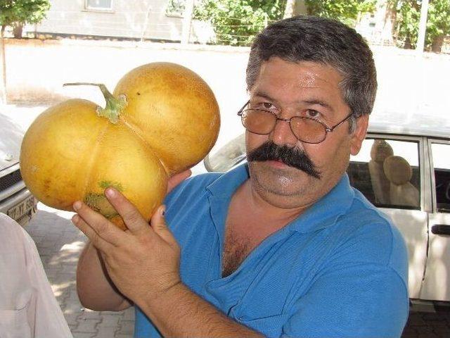 &Uuml;&ccedil;&uuml;z Kavun G&ouml;renleri Şaşırtıyor 1